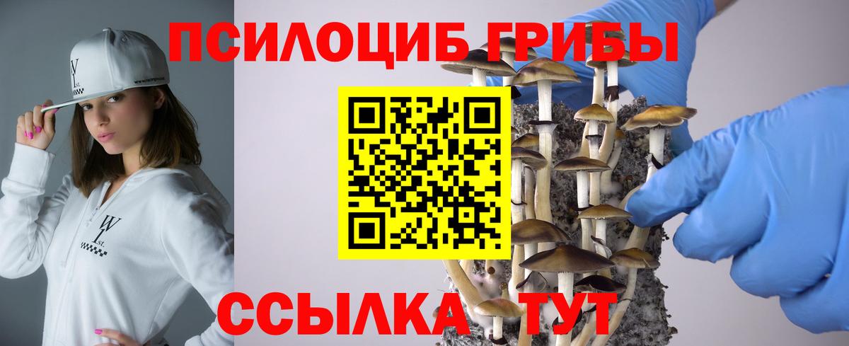 Гусев  Псилоцибиновые грибы мицелий  Вход с VPN 
